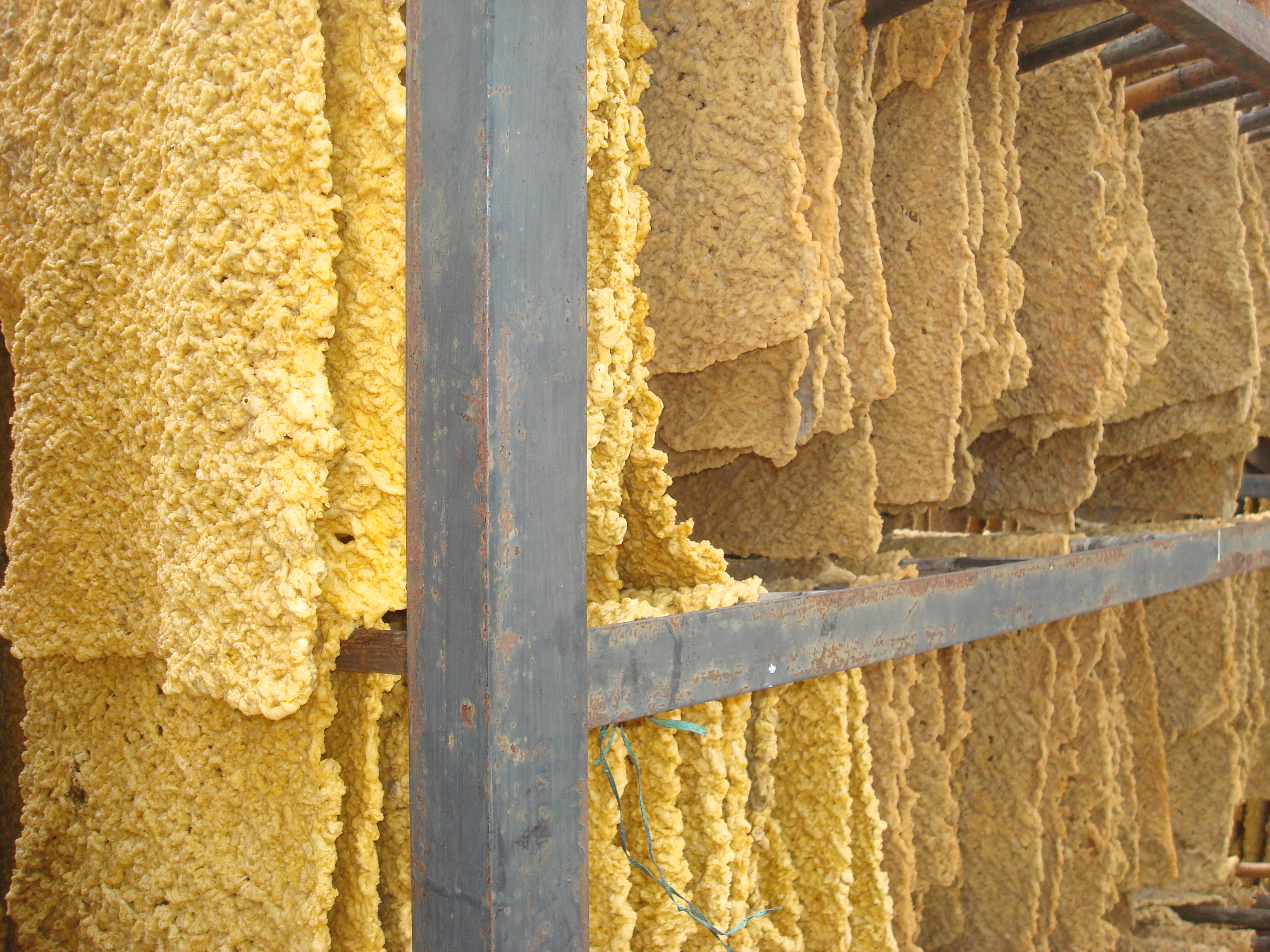 Code of Conduct Policy